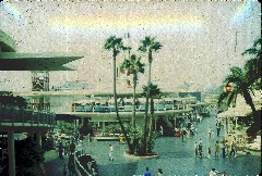 Travel; Disney Land